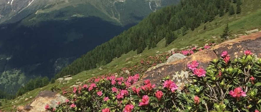 Novanta anni fa il Parco dello Stelvio
