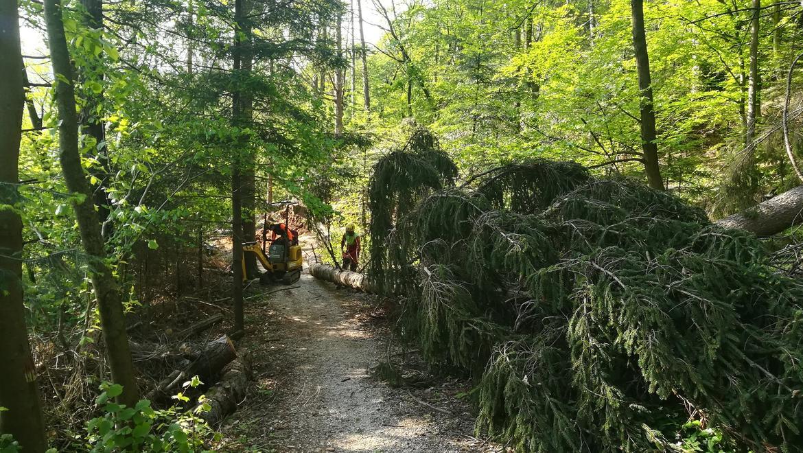 Rinnovato l'accordo con il Bim dell'Adige