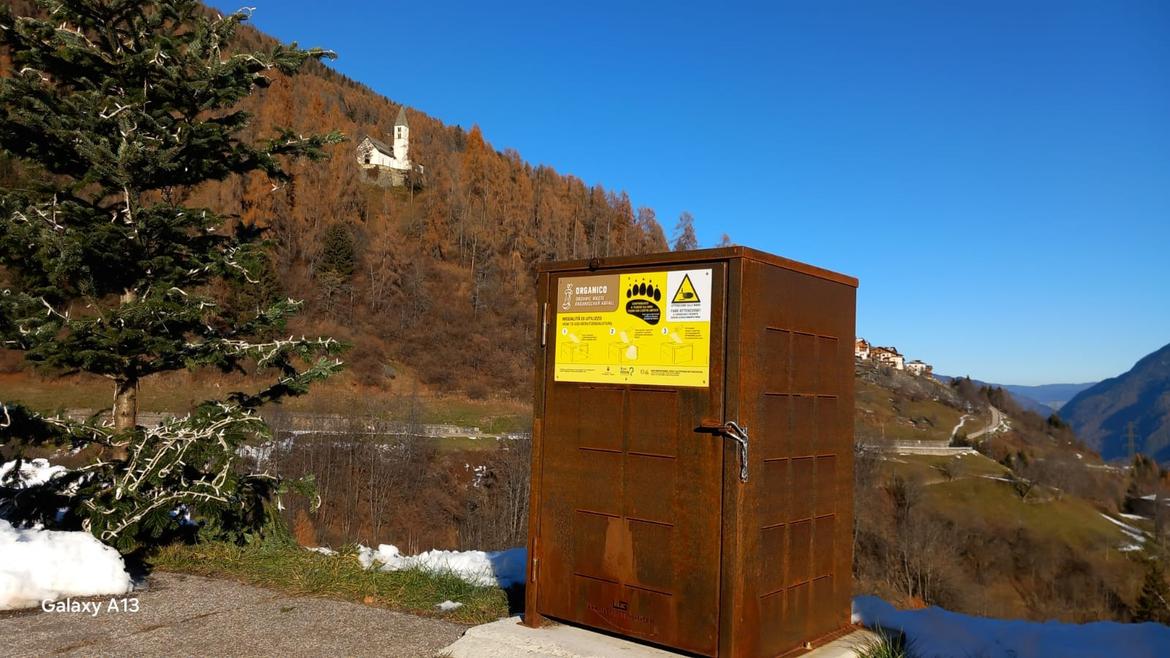 Orsi e lupi, dal Trentino a Roma