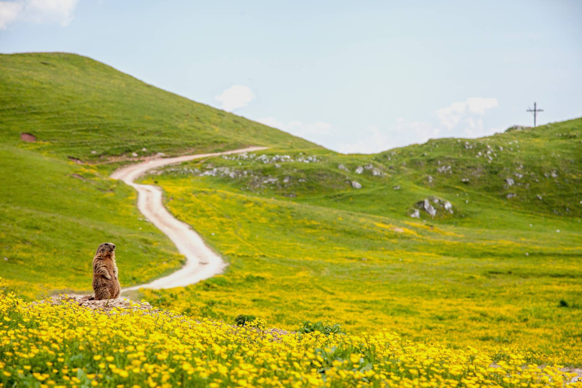Accompagnatore di media montagna, aperte le iscrizioni