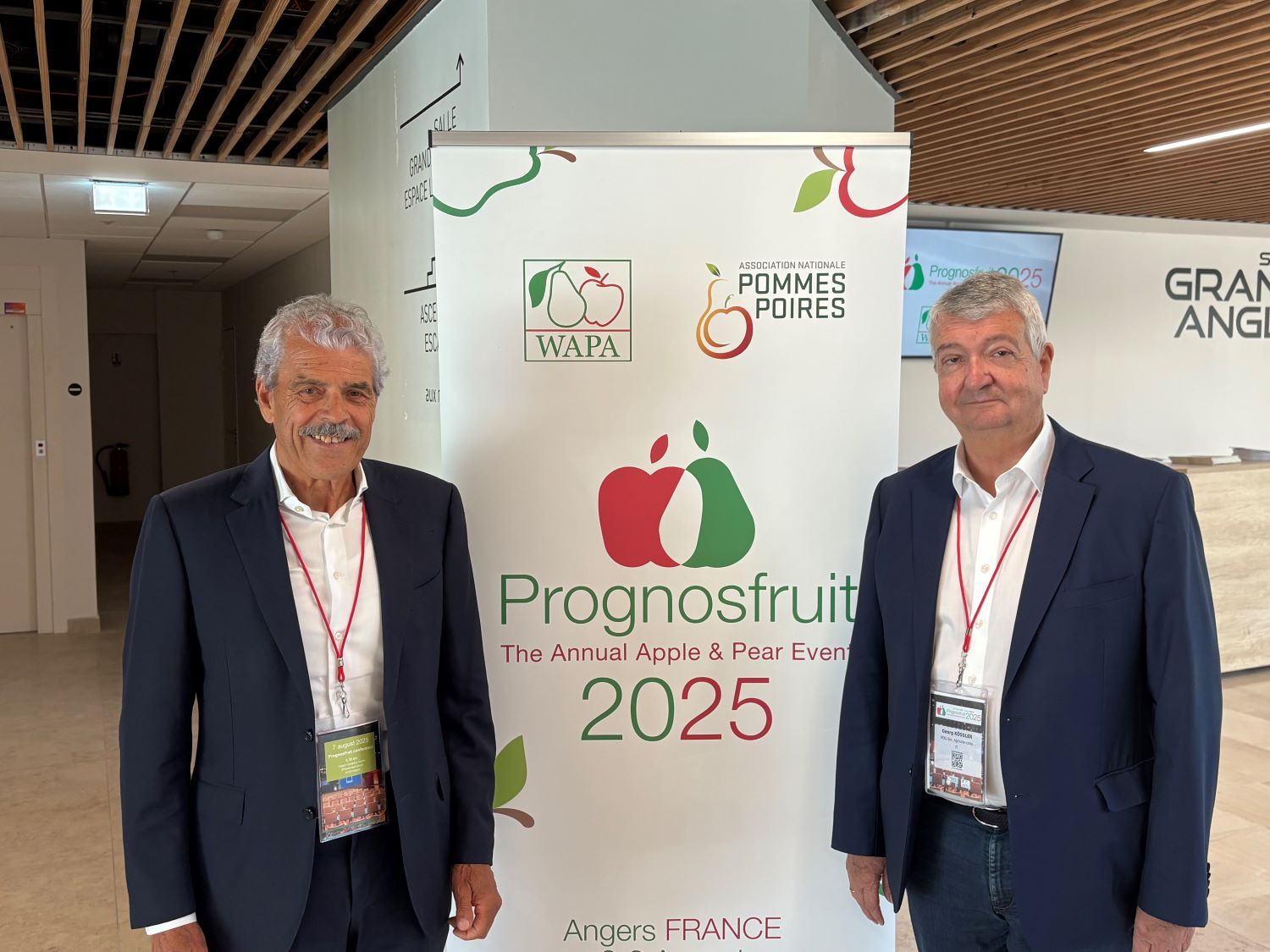 Le previsioni di produzione di mele per la stagione 2025/2026