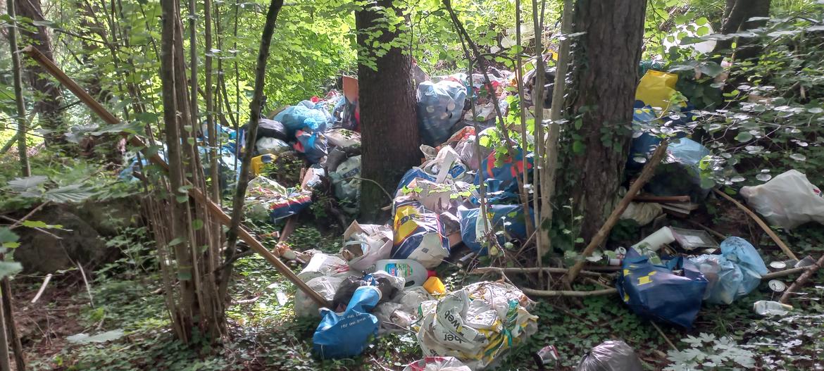 La lotta ai rifiuti del Corpo forestale: così si difende il territorio