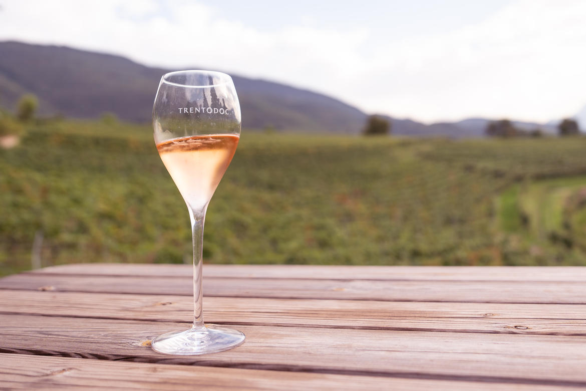 Dalla vigna al calice: il Trentino brinda alla sua vendemmia 