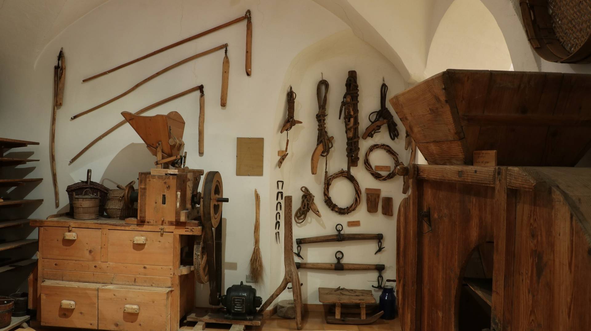 Chi ha paura del lupo?