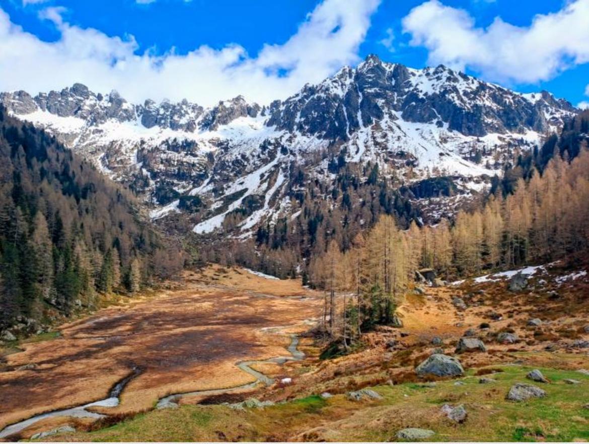 Maggio 2025, temperature nella media