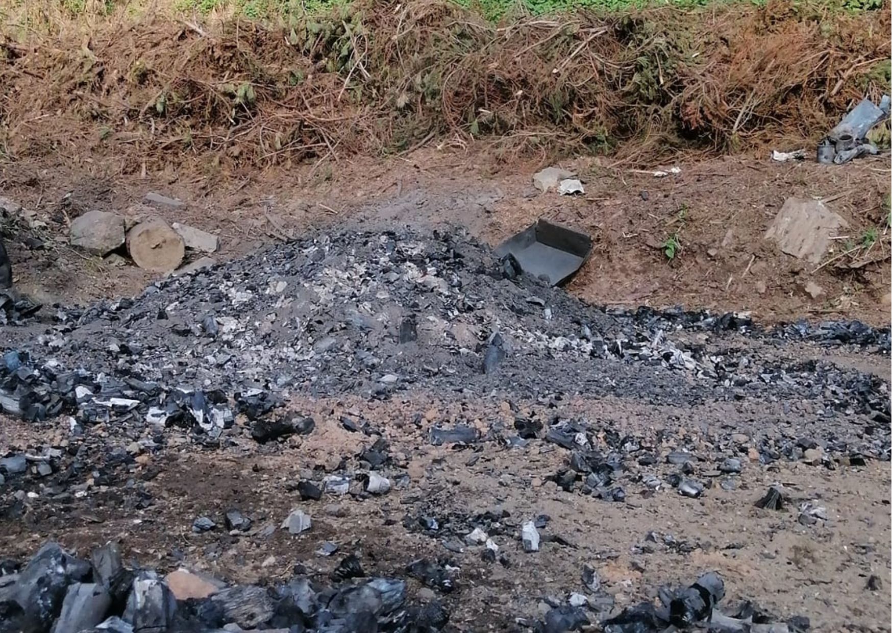 A Cogolo rivive l'antica arte della carbonaia