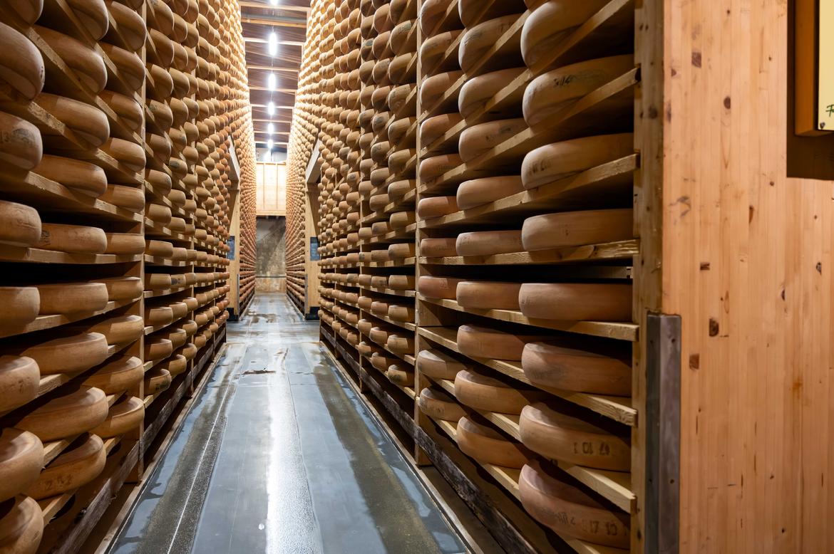 Caso di infezione intestinale di origine alimentare