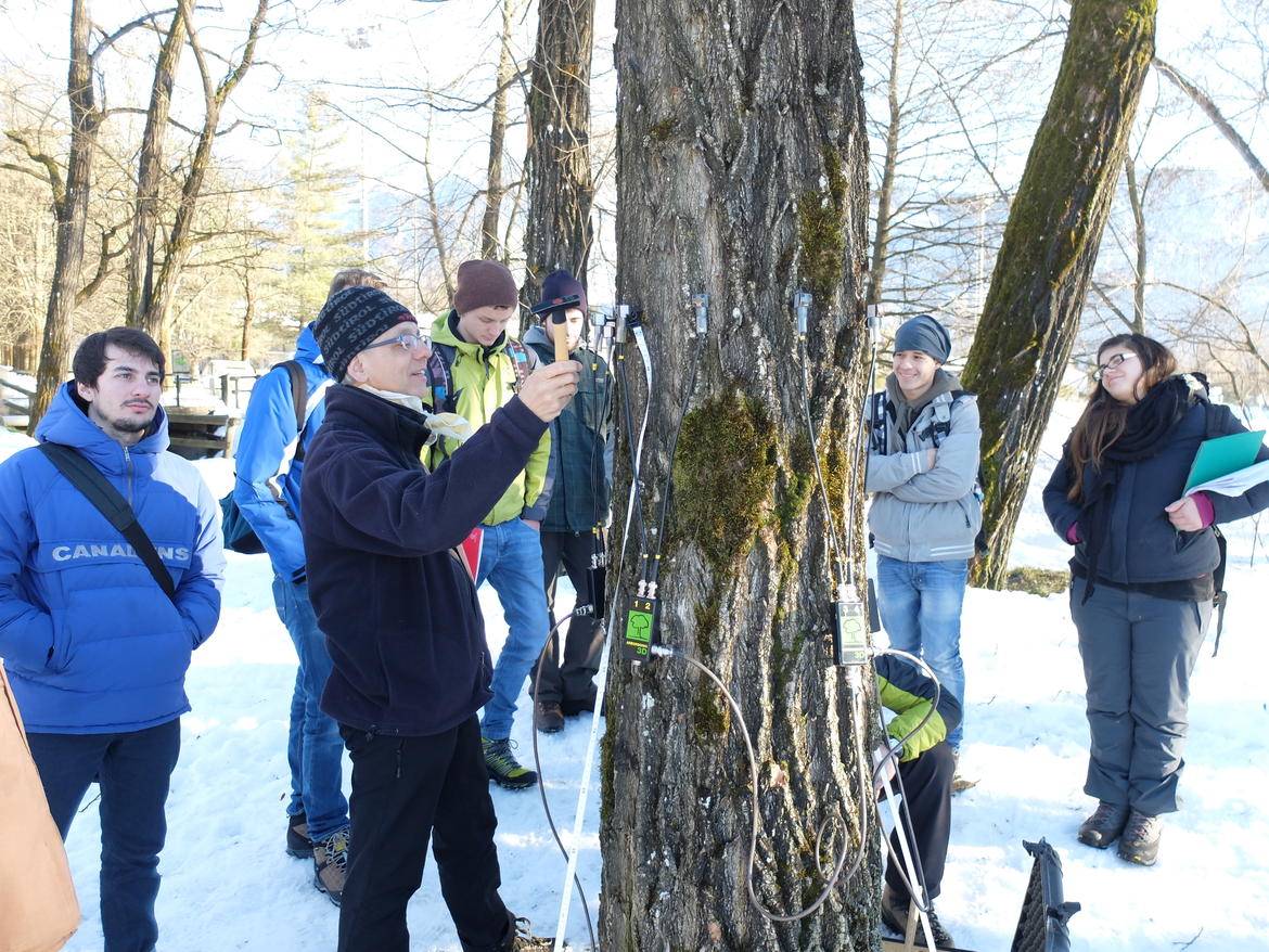 Verde e agroalimentare, al via i “corsi brevi” 2025