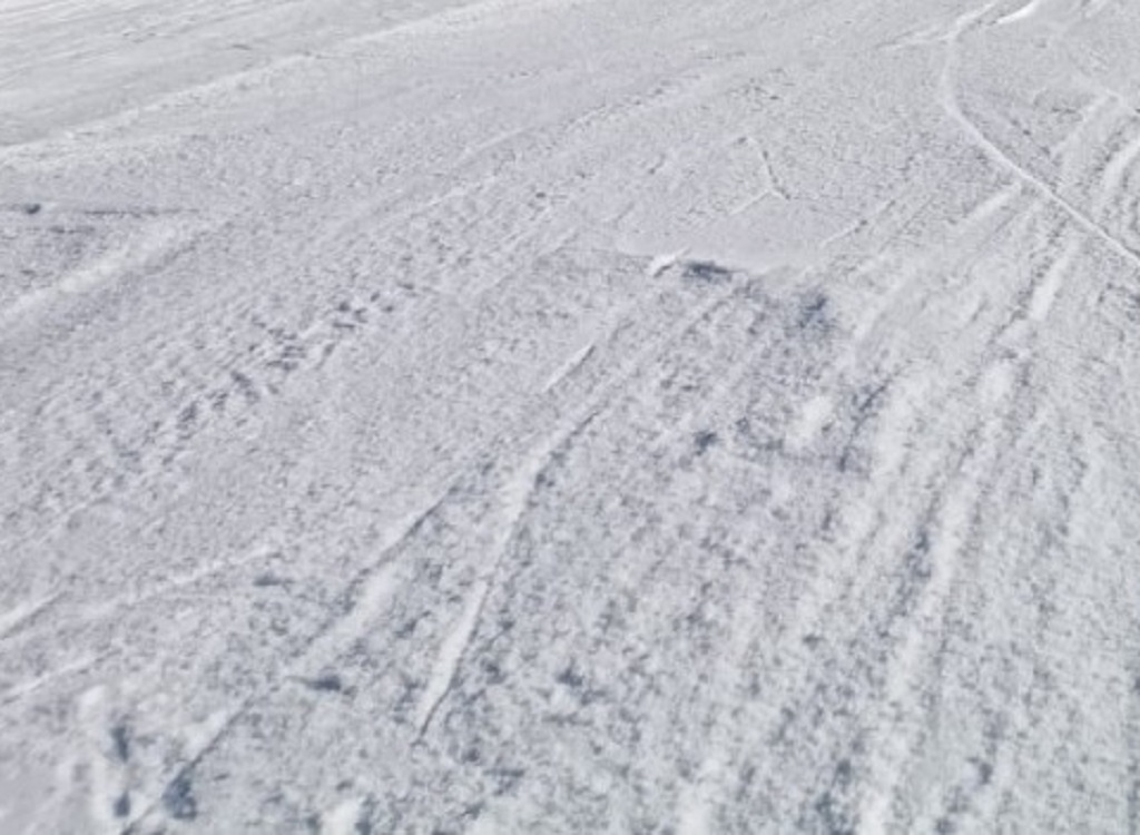 Predaia, passeggiata sulla neve