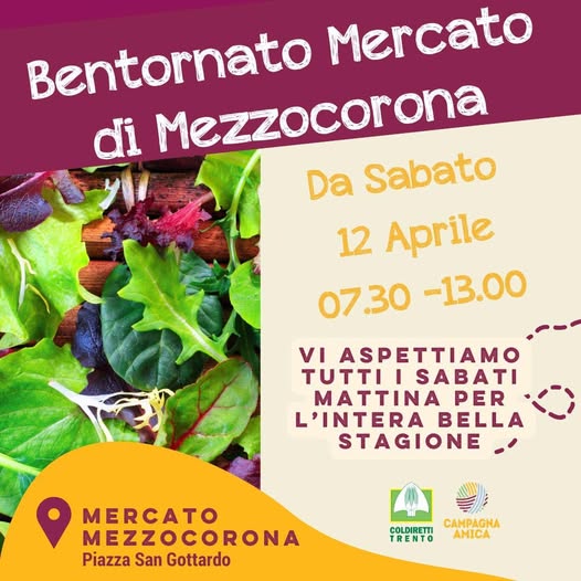 Pasqua, il ritorno dei fiori nelle case degli italiani