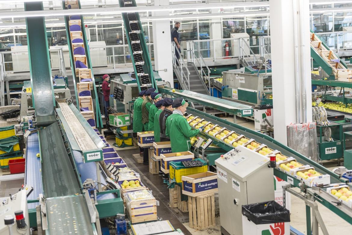 Il Distretto della Mela della Val di Non e Val di Sole primo classificato al bando ministeriale