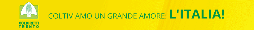 Coldiretti desktop ottobre-novembre 2025