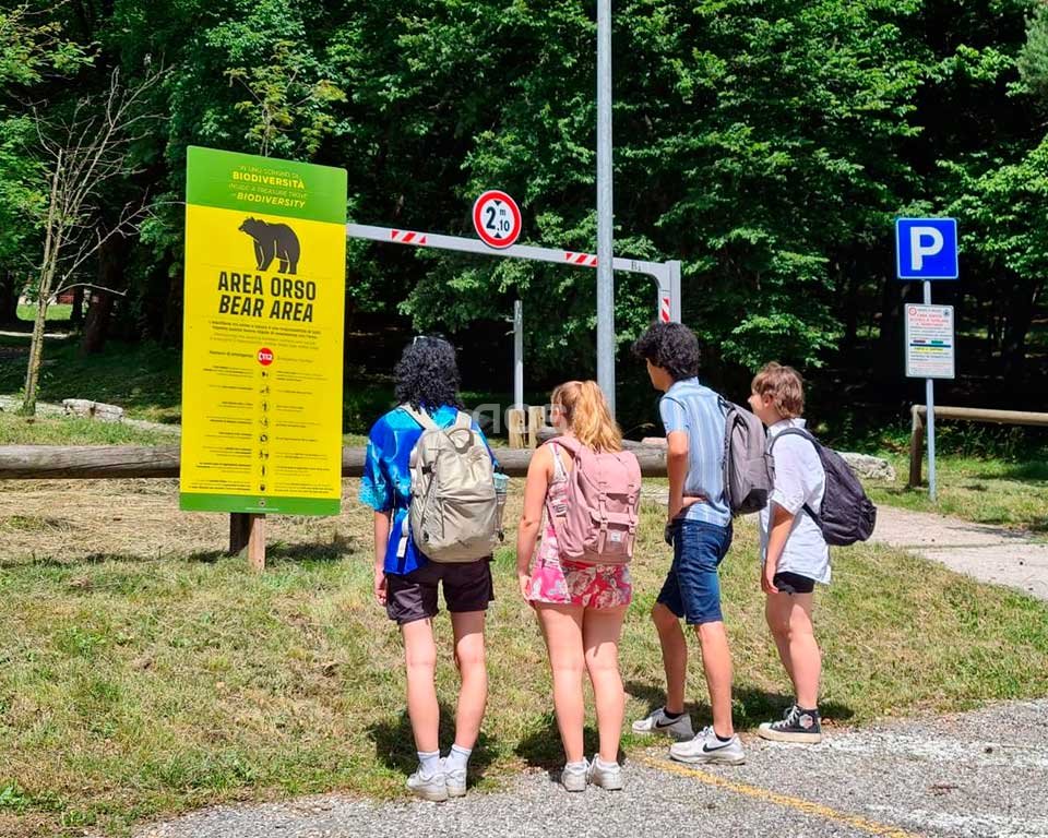 Incontro ravvicinato con l'orsa nel bosco: 'E se ci fossero stati i miei figli?'