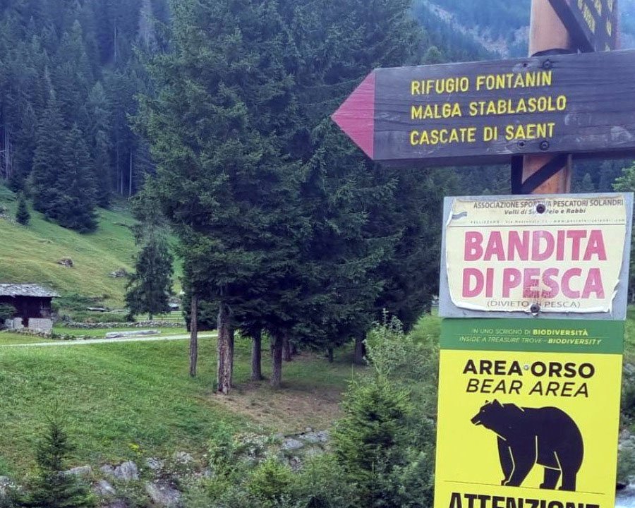 Morte di F36, due richieste di rinvio a giudizio