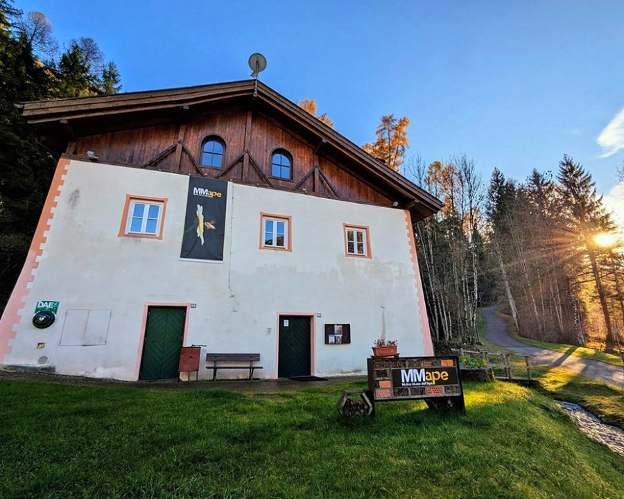 Visita al Mmape di Croviana per l'assessore Failoni