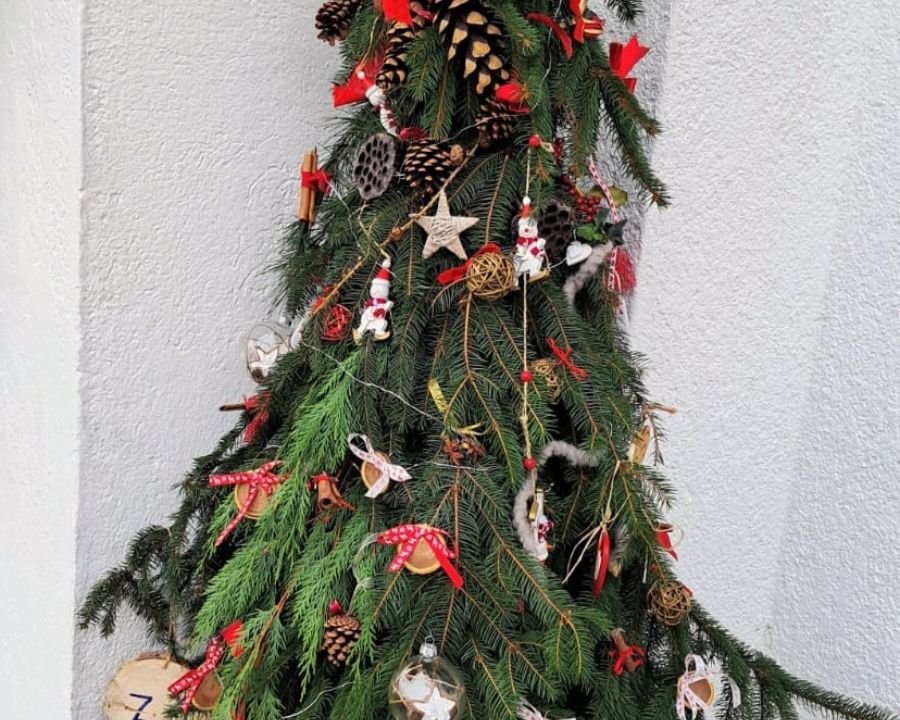 Un bosco di Natale per Malé