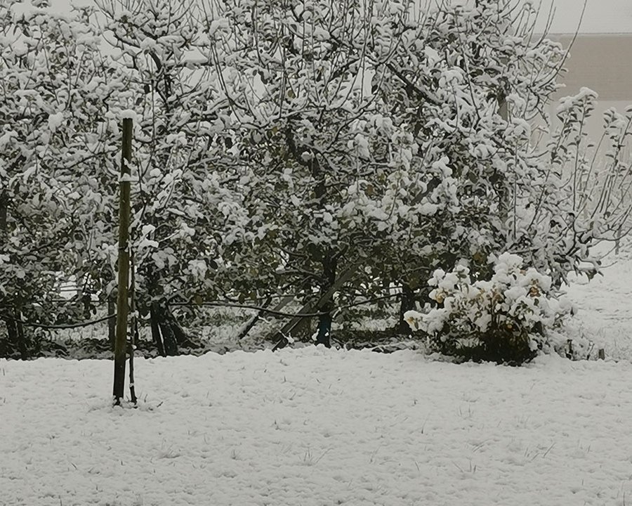 Il tempo da qui a metà dicembre