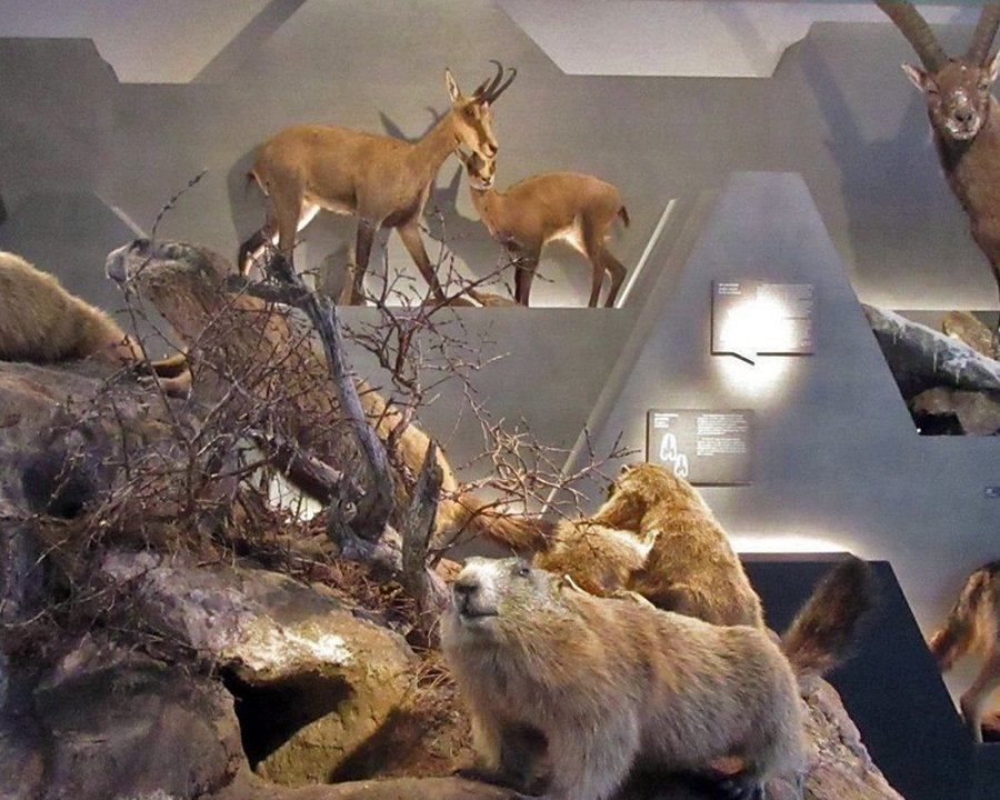 Natale al centro visitatori del Parco Stelvio