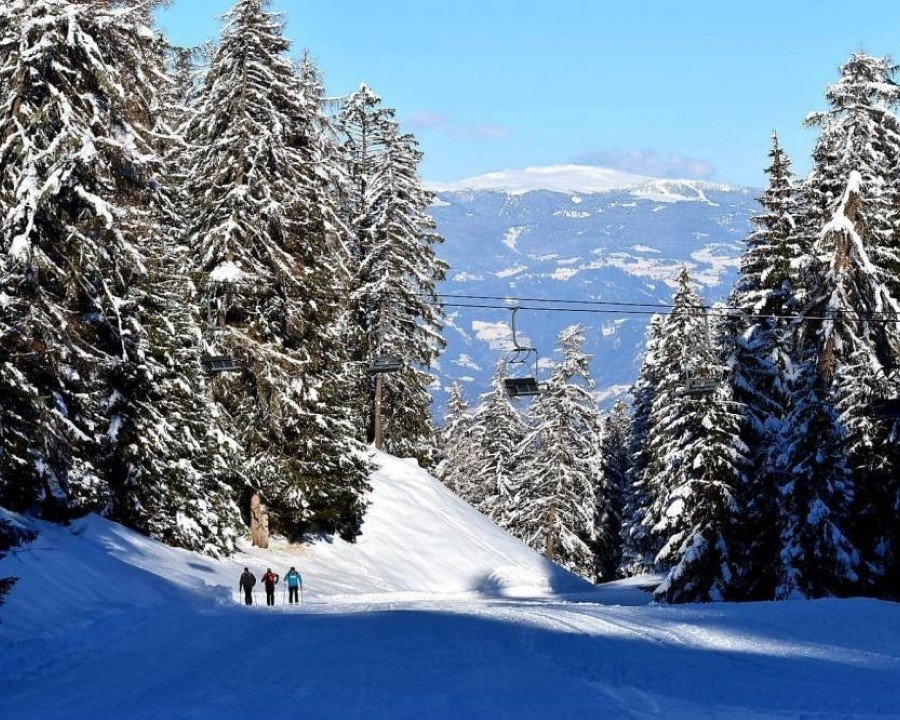 La magia dell’inverno al Passo della Mendola