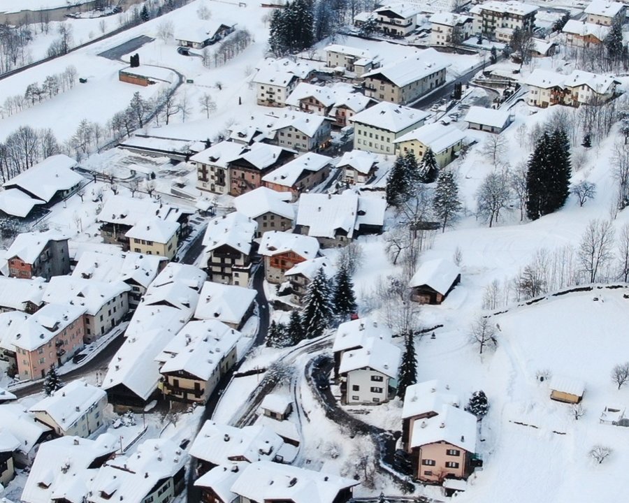 Il pensiero della comunità su orsi e lupi