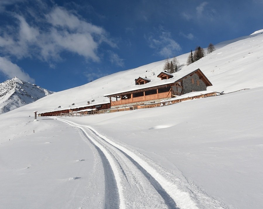 Rabbi, cade dal tetto