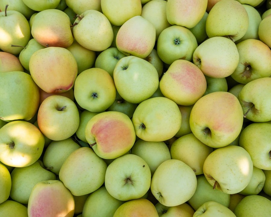 Fruit Logistica, il Trentino protagonista