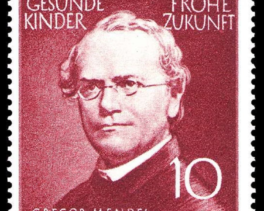8 febbraio 1865 - Mendel espone la teoria dell'ereditarietà