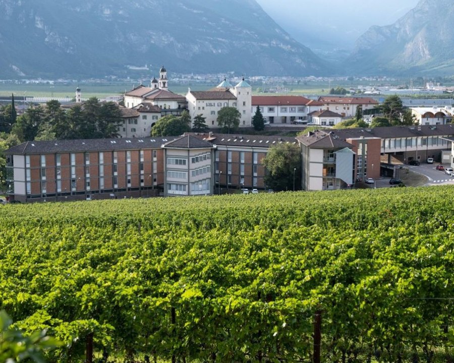 18^ Giornata tecnica della vite e del vino