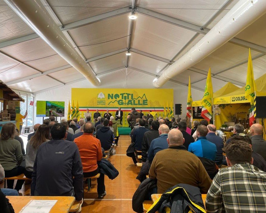 Foreste trentine, visioni per il domani