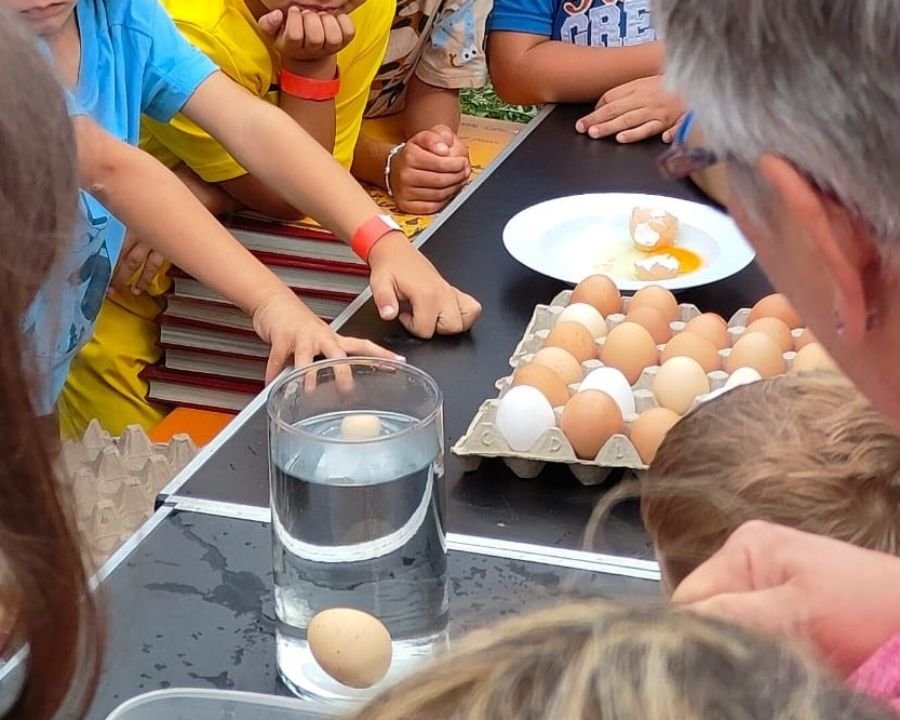 Trento, fino a domani la Mostra dell’Agricoltura