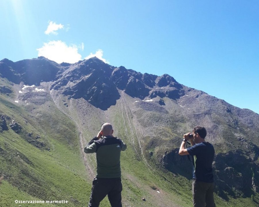 Parco Stelvio, con la primavera inizia la ricerca