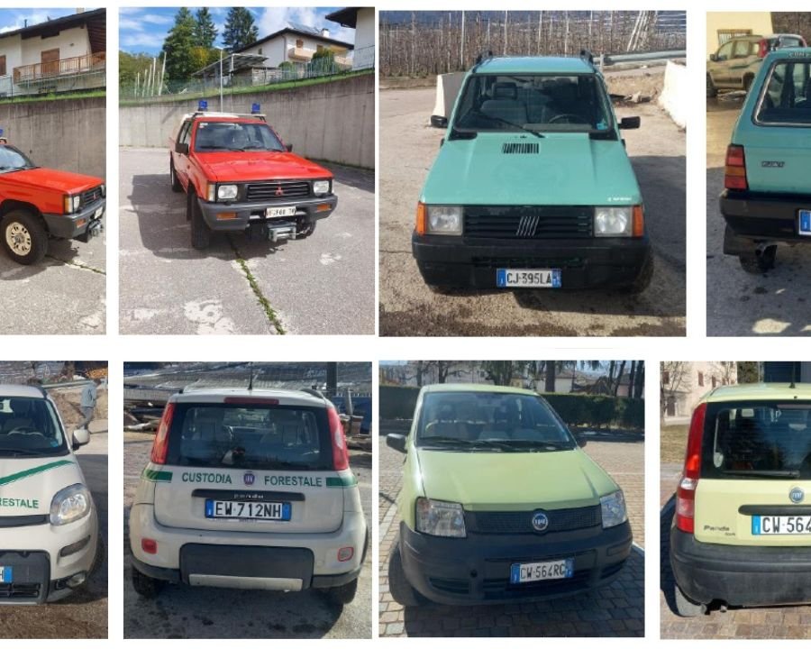 Predaia, asta pubblica per la vendita di quattro veicoli comunali