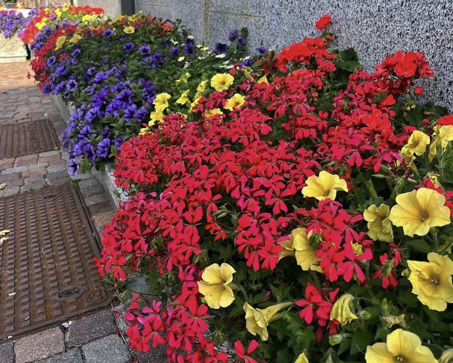 Floricoltura Fantelli, il meglio per l'orto e il balcone