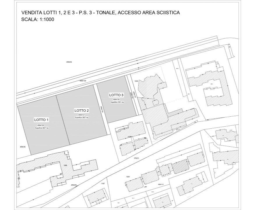 Vermiglio mette all’asta tre terreni al Passo del Tonale: in vendita lotti per oltre 2 milioni di euro