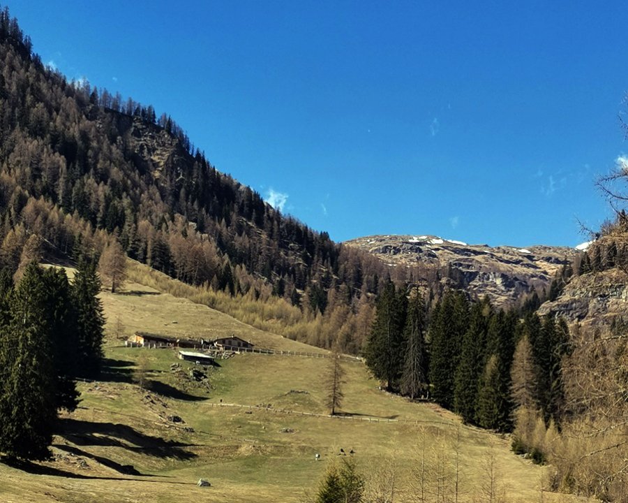 Nen en malga