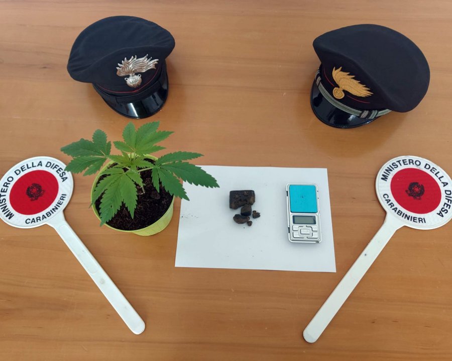 Cavareno, operazione contro lo spaccio di stupefacenti