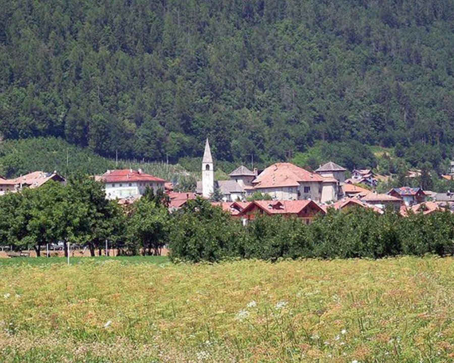Settimana della Terra, cercasi volontari