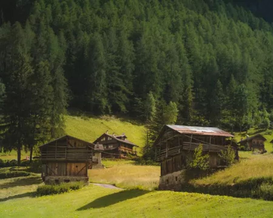 Terzolas, assemblea dell’Actp e focus sul progetto “Vacanze nei Masi”