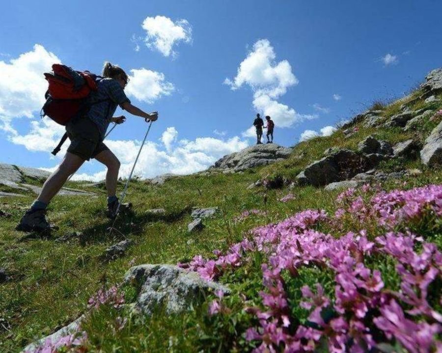 Escursione a Fazzon alla scoperta delle piante aromatiche