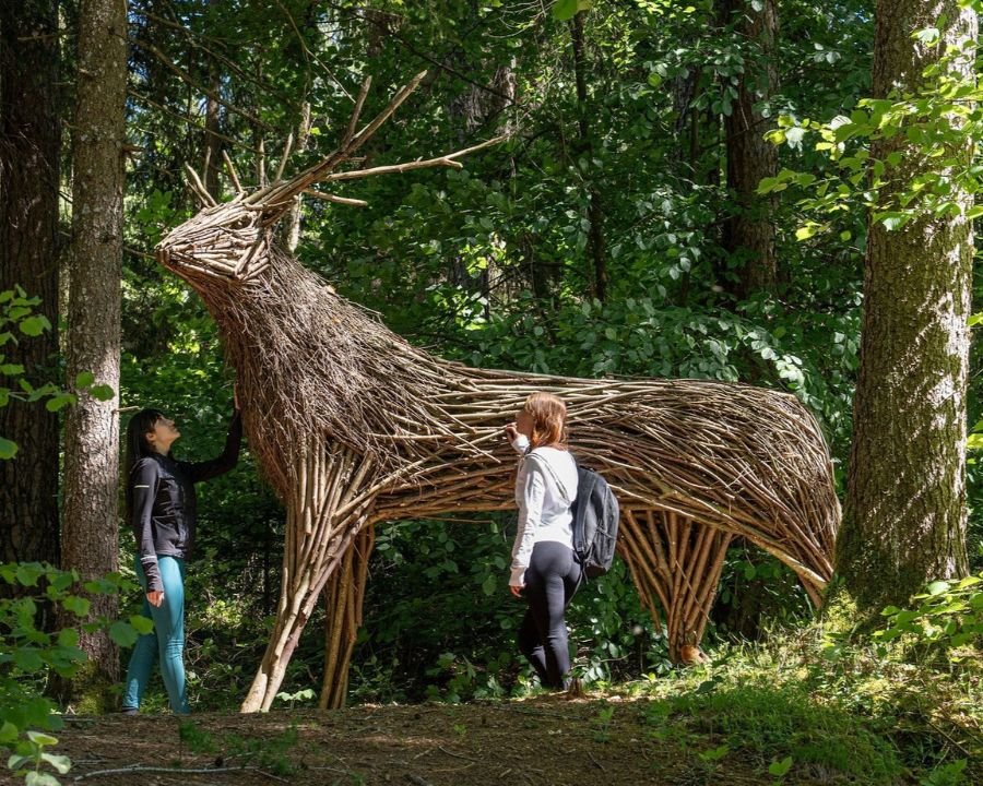 Festival delle Armonie: oggi a Cavareno una giornata tra arte, natura e benessere