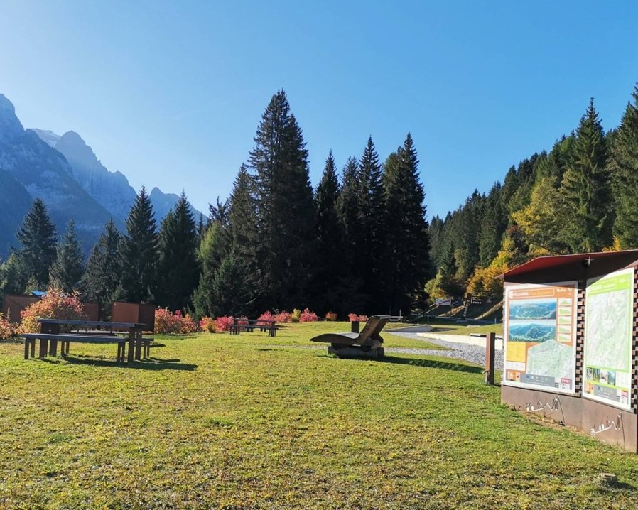 Lupo investito nei pressi di Passo Campo Carlo Magno