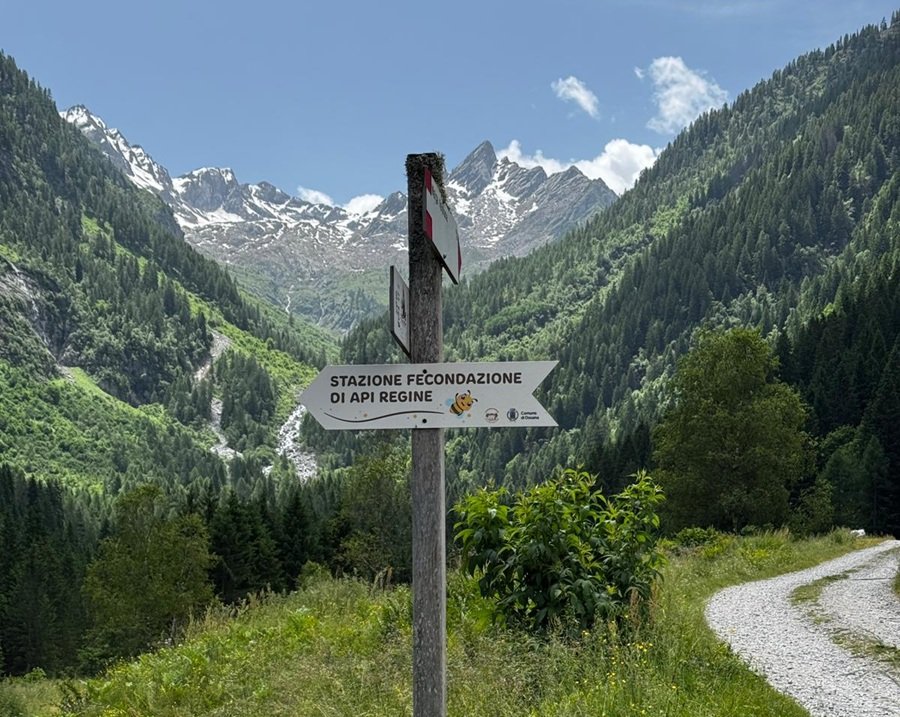 A Ossana più di una giornata ecologica