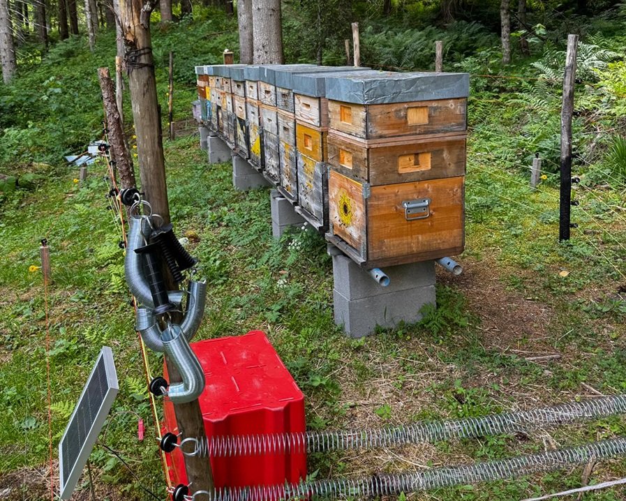 A Ossana più di una giornata ecologica