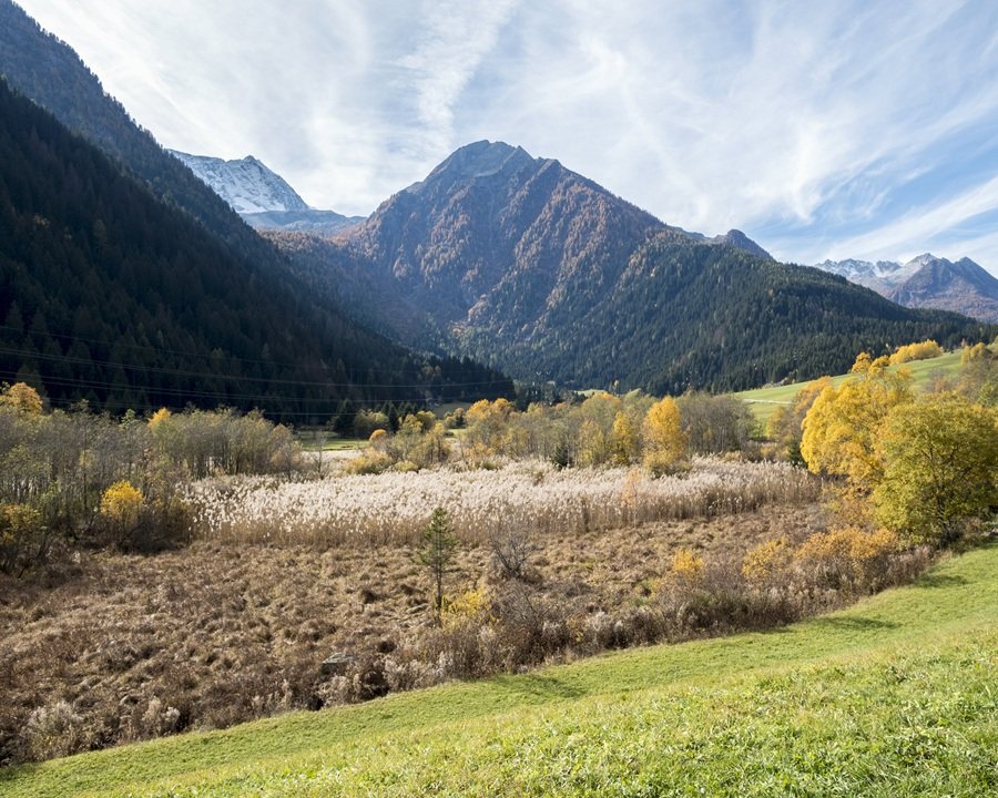A Trento un convegno sulla cultura del paesaggio e la tutela dei biotopi
