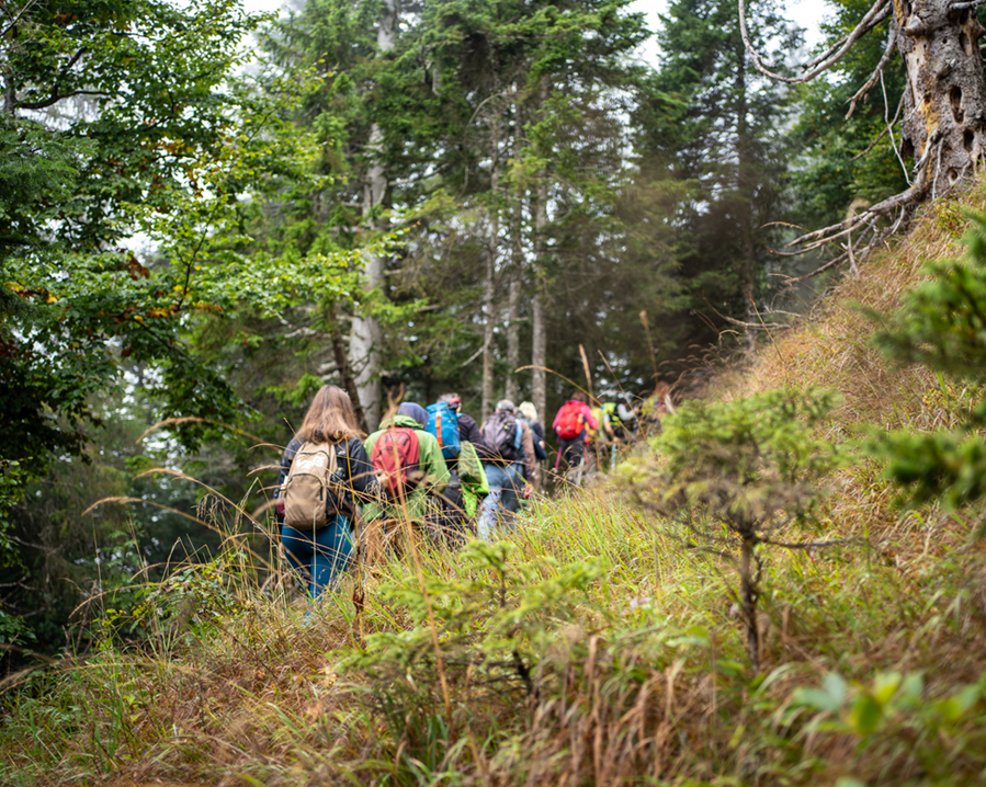 La proposta del Parco Naturale Adamello Brenta e Superflùo