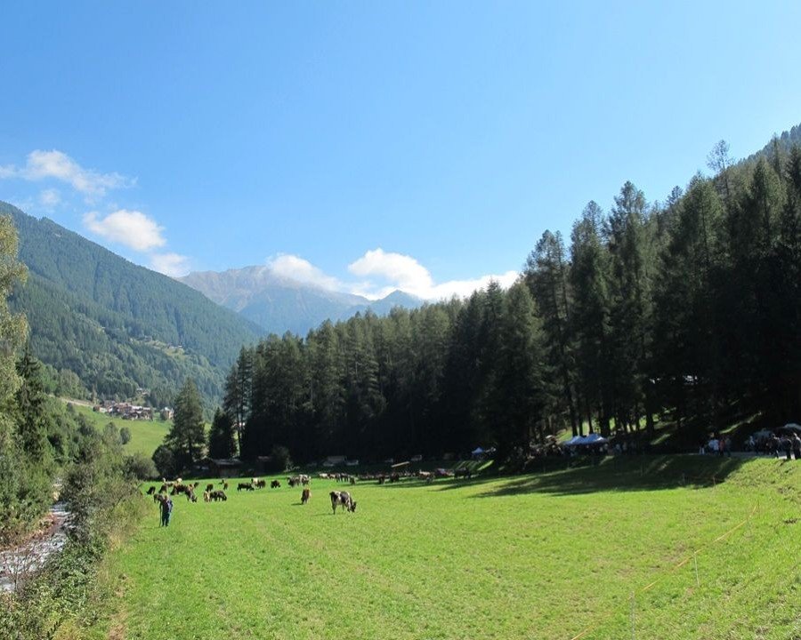 Alle Plaze di Forni l’omaggio a Flavio Faganello