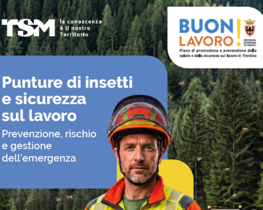 Punture di insetti e sicurezza sul lavoro