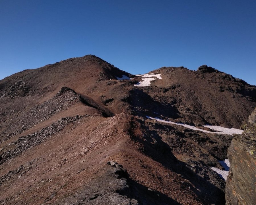 Un patrimonio naturale a rischio, ma che può avere la capacità di rigenerarsi