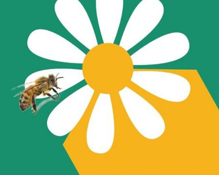 Due appuntamenti per il Parco naturale Adamello Brenta