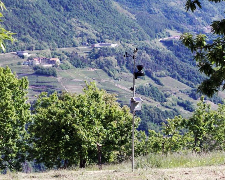 Castagno e noce, sperimentazione con sensori per migliorare la produttività